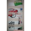 Racing Baskılı Zebra Perde  